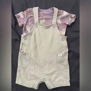 Baby 2-Piece Tee & Shortall Set
